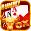 rummy all list new icon